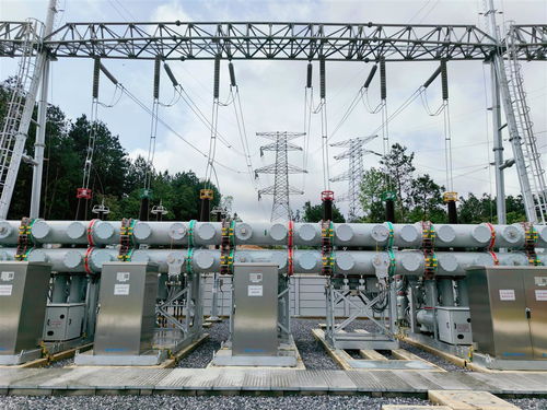 體積小 重量輕 可靠性高 咸寧首座220千伏gis智能變電站投產(chǎn)送電